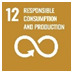 SDG 12